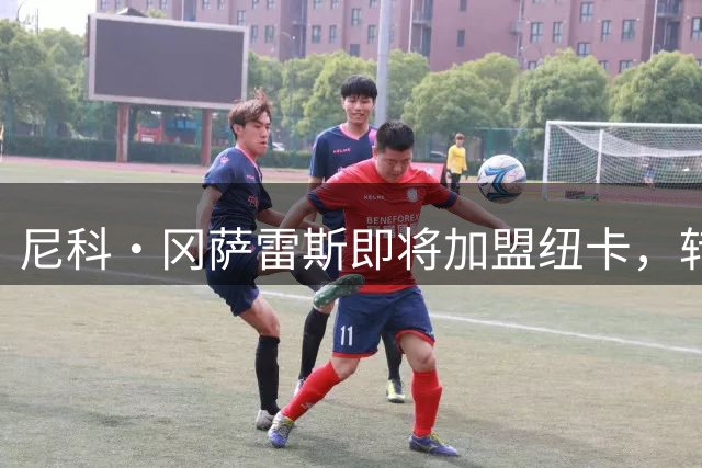 尼科·冈萨雷斯即将加盟纽卡，转会费用近5200万镑